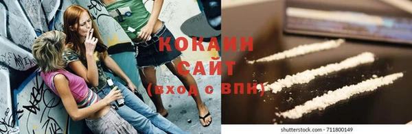 сатива Елабуга