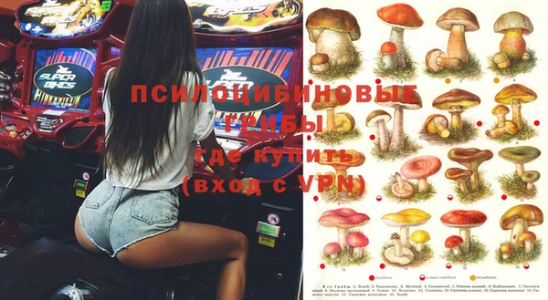 2c-b Елизово