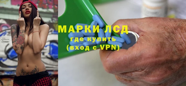сатива Елабуга