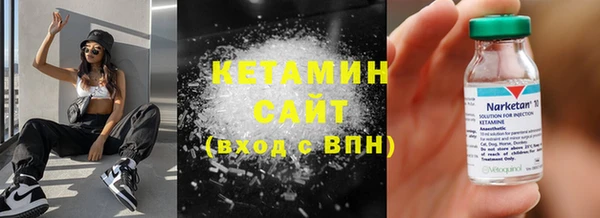 сатива Заводоуковск