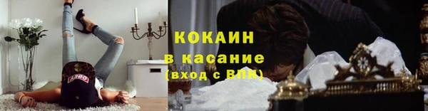 сатива Елабуга
