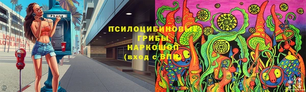 2c-b Елизово