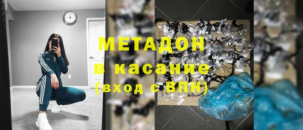 сатива Заводоуковск