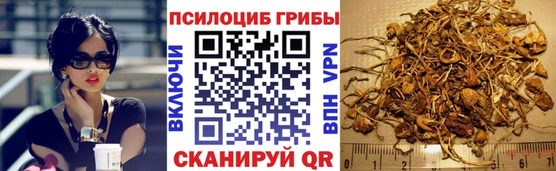 Псилоцибиновые грибы GOLDEN TEACHER  Купить закладки  Кинешма 